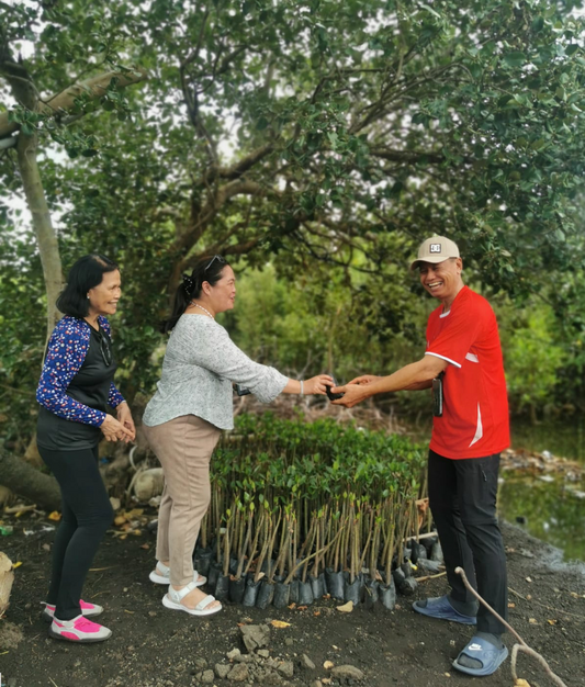 Restoring Coastal Ecosystem through Mangrove Planting